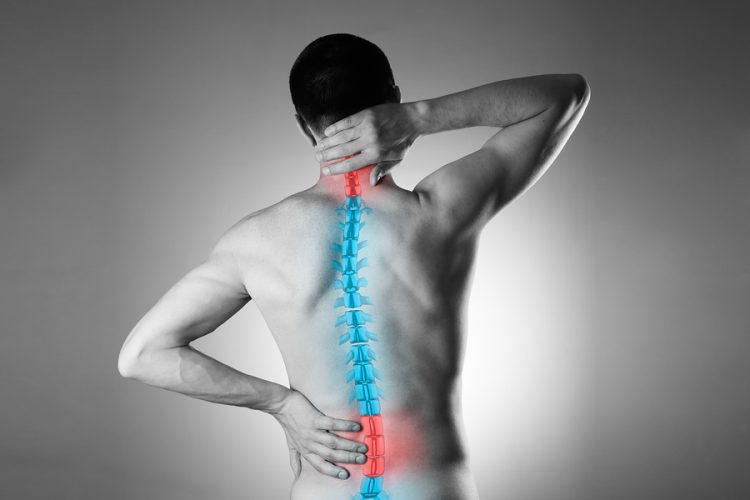 Working from home? Avoid the risk of neck and back injury - Hospital ...