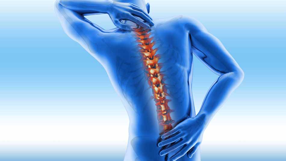 Spine Specialist Visit