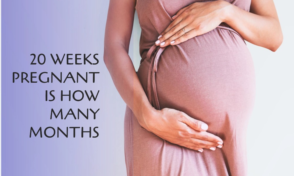 20-weeks-pregnant-is-how-many-months-hospital-nino-jesus