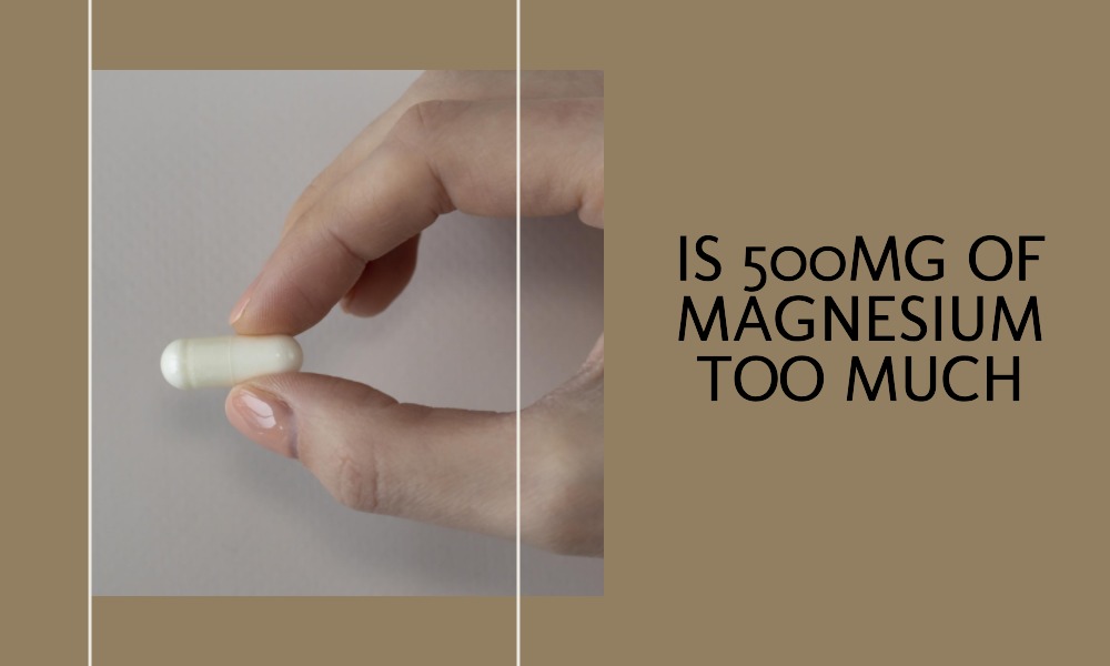 is 500mg of magnesium too much